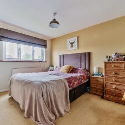 Thumbnail Image 11