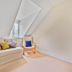 Thumbnail Image 15