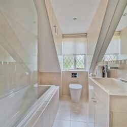 Thumbnail Image 17