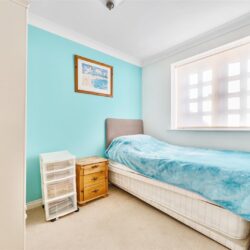 Thumbnail Image 15