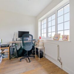 Thumbnail Image 13