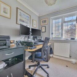 Thumbnail Image 15