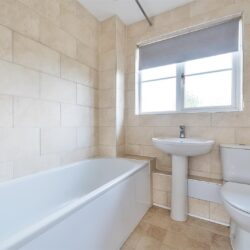 Thumbnail Image 11
