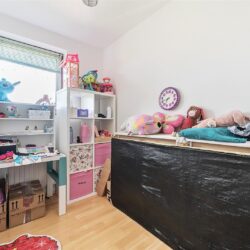Thumbnail Image 12