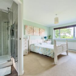 Thumbnail Image 11