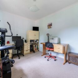 Thumbnail Image 11