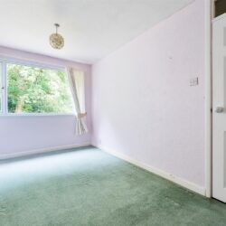 Thumbnail Image 10