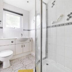 Thumbnail Image 12