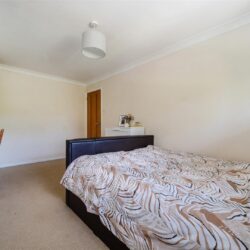 Thumbnail Image 8