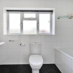 Thumbnail Image 14