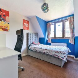 Thumbnail Image 29