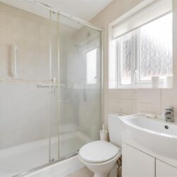 Thumbnail Image 10