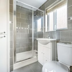 Thumbnail Image 12