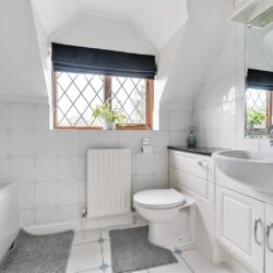 Thumbnail Image 14