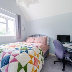 Thumbnail Image 11