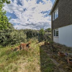 Thumbnail Image 16