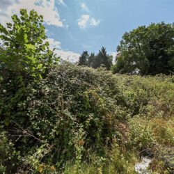 Thumbnail Image 17