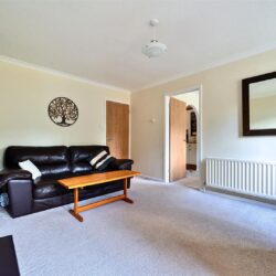Thumbnail Image 11