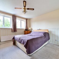 Thumbnail Image 12