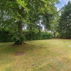 Thumbnail Image 14