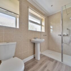 Thumbnail Image 10
