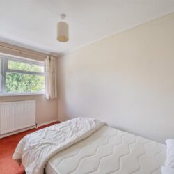 Thumbnail Image 12