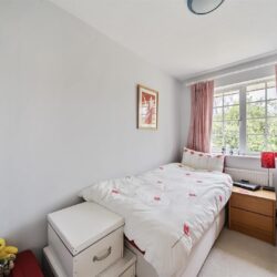 Thumbnail Image 15