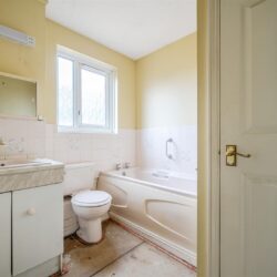 Thumbnail Image 17