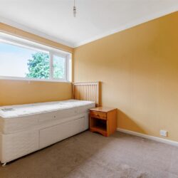 Thumbnail Image 11