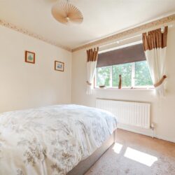 Thumbnail Image 12