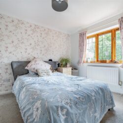 Thumbnail Image 16