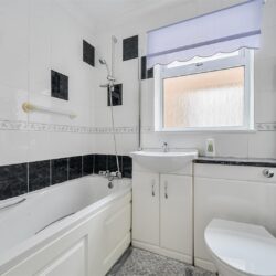 Thumbnail Image 11
