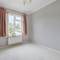 Thumbnail Image 12