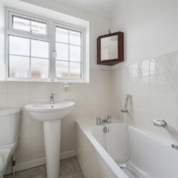 Thumbnail Image 15