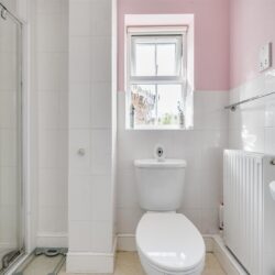 Thumbnail Image 12