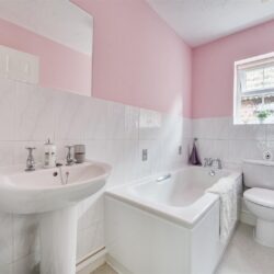 Thumbnail Image 15