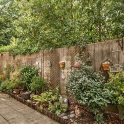 Thumbnail Image 14