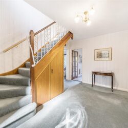 Thumbnail Image 10