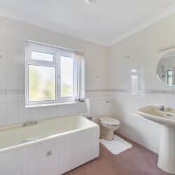 Thumbnail Image 14