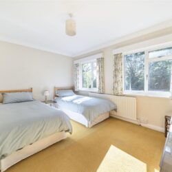 Thumbnail Image 16