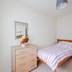 Thumbnail Image 12