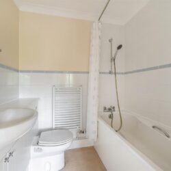 Thumbnail Image 12