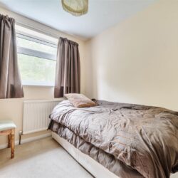Thumbnail Image 12