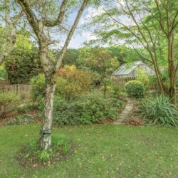 Thumbnail Image 17