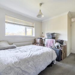 Thumbnail Image 15
