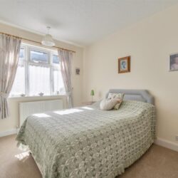 Thumbnail Image 11