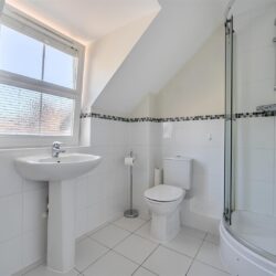 Thumbnail Image 7