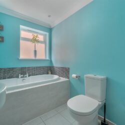 Thumbnail Image 17