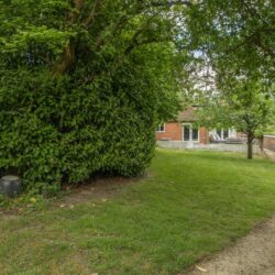 Thumbnail Image 22