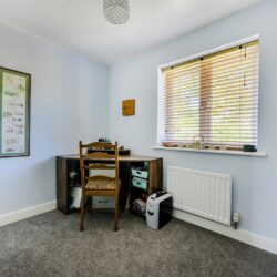 Thumbnail Image 16